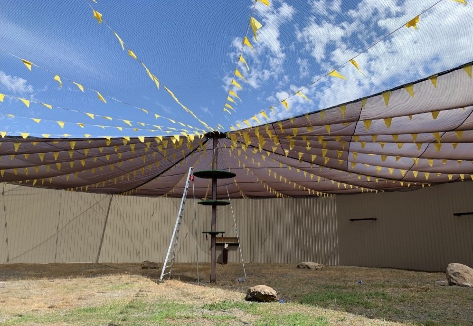 Protect hunting falcons from mosquito-borne diseases