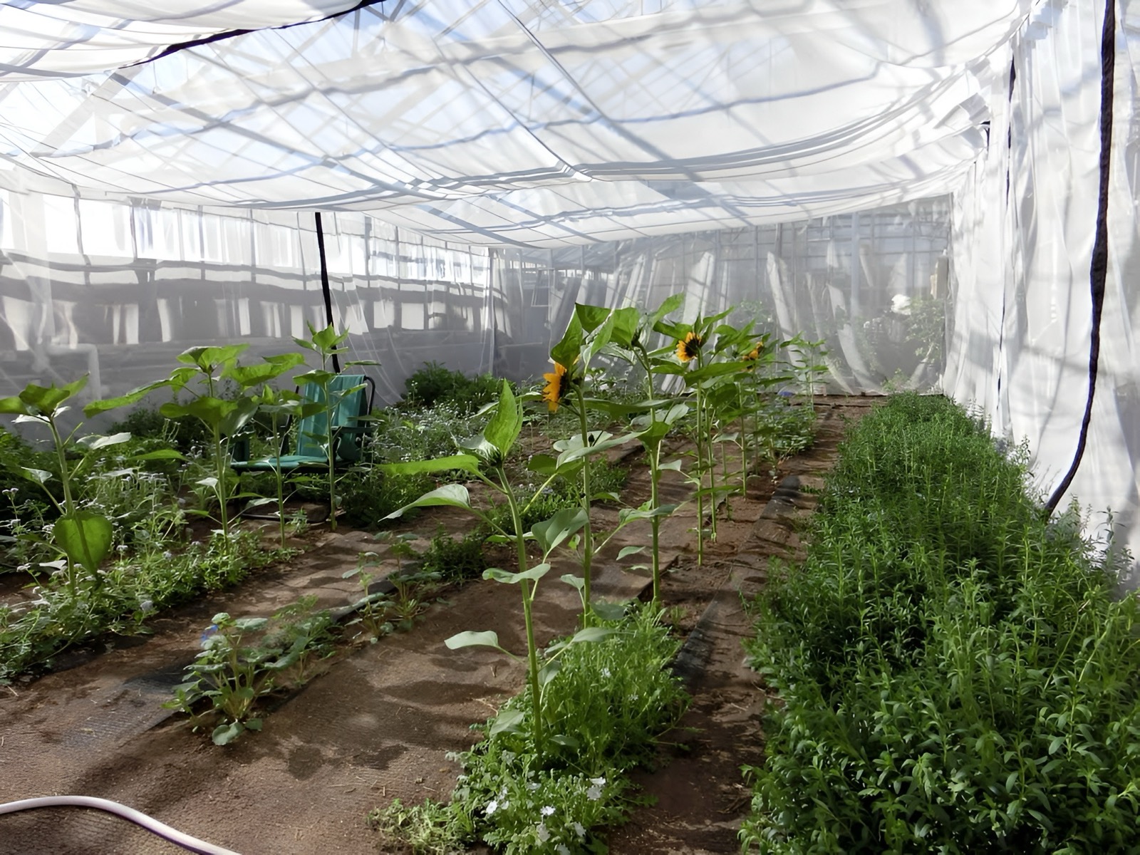 Contain bees without limiting access to the enclosure
